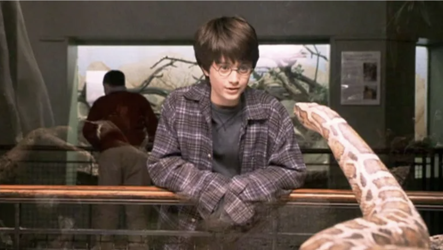 El Retorno de Harry Potter a la Pantalla: Entre Nostalgia y Controversia